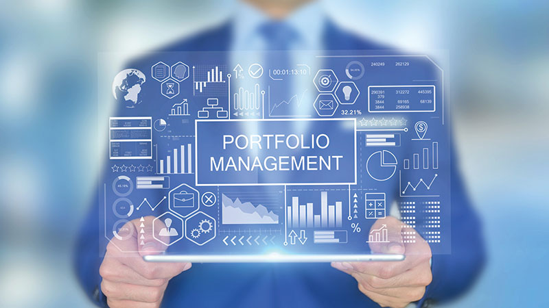 Strategic Portfolio Management in Digital Transformation